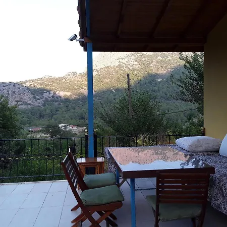 Waldvilla Villa